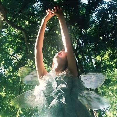 克里斯·海姆斯沃斯的鲨滩奇遇